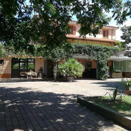 Spodnje Skofije Guesthouse Skofije Ob Parenzani מראה חיצוני תמונה