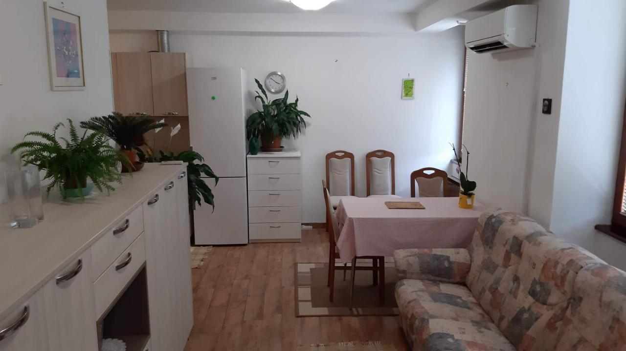 Spodnje Skofije Guesthouse Skofije Ob Parenzani מראה חיצוני תמונה
